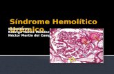 Síndrome Hemolítico Urémico (SHU)
