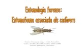 Treball de Recerca "Entomologia Forense"