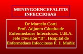 MENINGOENCEFALITIS INFECCIOSAS Actualizada 01-02-09 CORTI