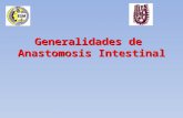 Generalidades de anastomosis intestinal