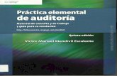 Práctica Elemental De Auditoría - Victor Mendivil - 5ed