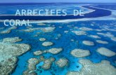 Diapositiva arrecife de coral!