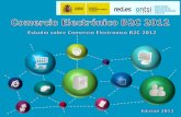 Estudio sobre Comercio Electrónico B2C 2012 (edición 2013)
