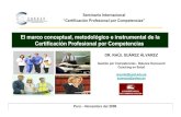 Marco conceptual de la Certificación Profesional por Competencias en Perú