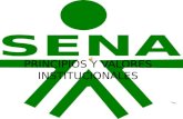 Principios y valores_institucionale_ssena