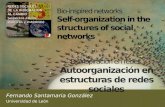 Fernando Santamaría: "Autoorganización en estructuras de redes sociales"