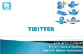 Twitter, Web 2.0. y aplicaciones educativas