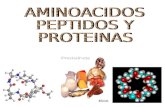 Aminoacidos peptidos y_proteinas