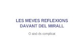 Reflexions Davant D’Un Mirall 2.1