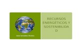 Recursos energeticos y sostenibilidad