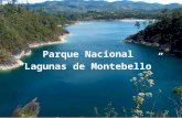 Lagoas Montebello