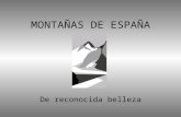 MontañAs De EspañA