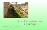 Ecosistemas de Arag³n