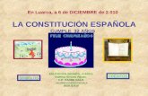 Constitución 2010