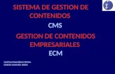 CMS Content Managment Systems