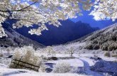 Fotos de invierno en las montañas