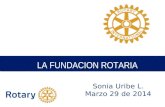 Rotary Distrito 4271 Fundación Rotaria 2.014