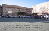 Carrera solidaria IES La Madraza 2011