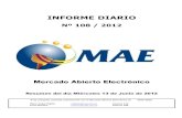 Informe Diario MAE 13-06-12