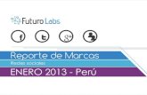 Futuro labs - Reporte mensual Enero 2013