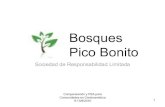HONDURAS COURSE - Historia del proyecto bosques Pico Bonito / Rafael Sambula