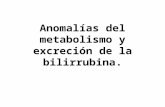 Anomalias Del Metabolismo Y Excrecion De La Bilirrubina