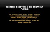 Sistema bicitaxis en_engativa_pueblo