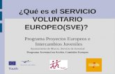 Servicio voluntario europeo