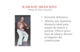 Defensa Personal Posiciones De Karate