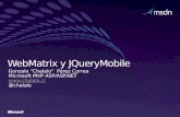 Web matrix y j querymobile