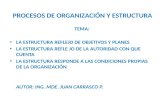 Procesos de organizacion y su estructura