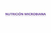 nutrición microbiana