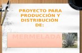 Proyecto Mermelada De Penco