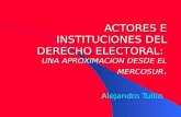 Actores e intituciones del derecho electoral