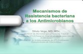 Mecanismos de resistencia bacteriana a los antimicrobianos