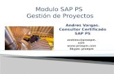 Sap PS project system Consultoria, Entrenamiento
