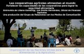 Las cooperativas agrícolas alimentan al mundo