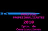 Prácticas profesionalizantes 2010   construcciones