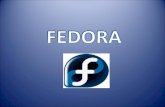 Fedora exposicion