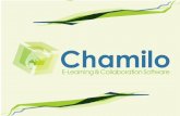 Chamilo lms-plan-recuperacion-clases-unfv-2012