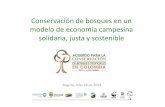 Acuerdos Conservación Bosques -  Elizabeth Valenzuela