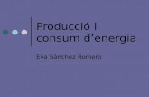 Producció i Consum Denergia