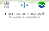 Gestion 2010 Hospital de Curacaví