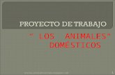 Proyecto de trabajo" Los animales domésticos" Educación Infantil  3 años