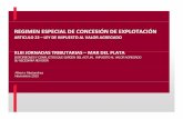 Jornadas Tributarias de Mar del Plata - 2013 - Régimen especial de concesión