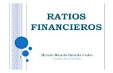 Ratios financieros 04-02