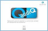 Curso online: control de calidad interno en auditoría con audiQ