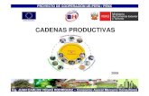 Cadenas productivas presentacion 2013_2 (2)