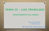 TEMA 13 - LOS TRABAJOS. SECTORES DE PRODUCCIÓN