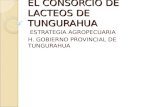 Presentación Encuentro 2010 - Desarrollo Capacidades, Tungurahua